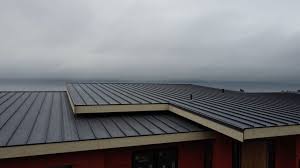 Best Rubber Roofing (EPDM, TPO)  in Ferrum, VA